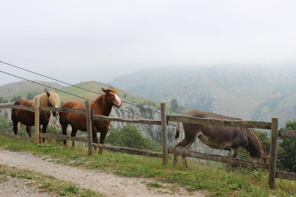 Los Pradones San Roque de Ríomiera Exterior foto